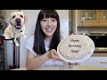 baking my dog a cake for his 10th birthday!!
