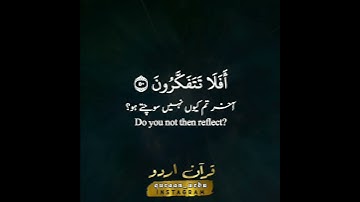 سورة الأنعام: ٥٠ || Surah al An'aam: 50 || الشيخ سعود الشريم || Sheikh Saud al Shuraim