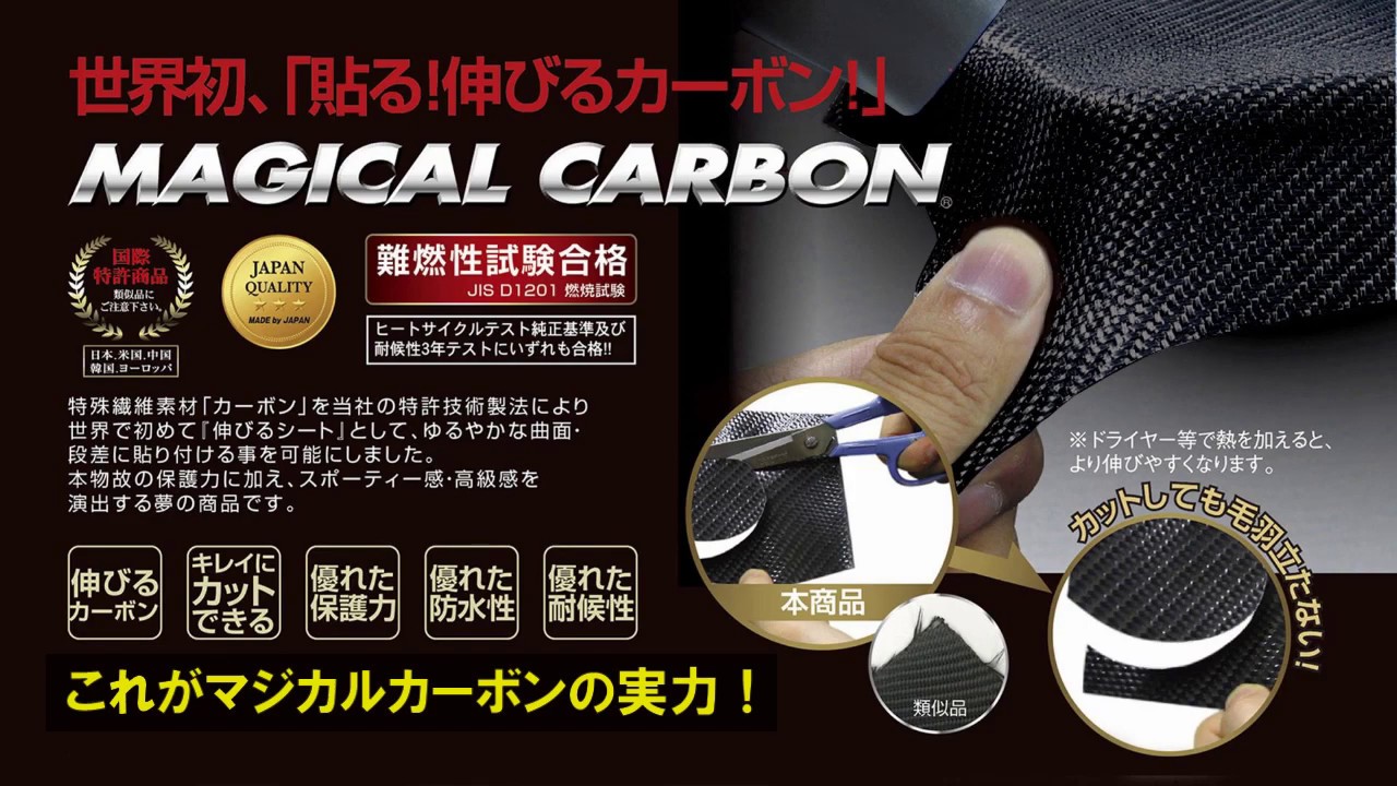 レクサスRX(LA/LH系)専用 マジカルカーボンピラーセット(ハセプロ)の