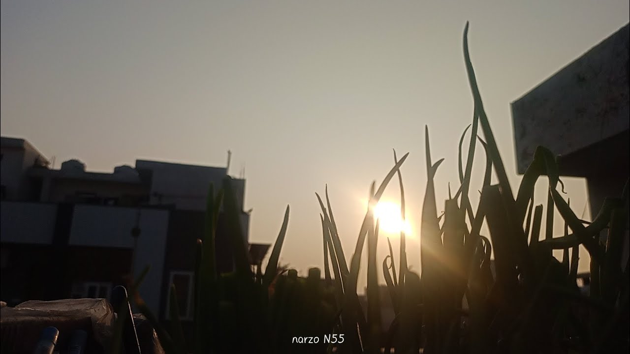 आज का मिशन था मटर ....😂🥰 || KAVIRAJ NEGI VLOGS 🙏