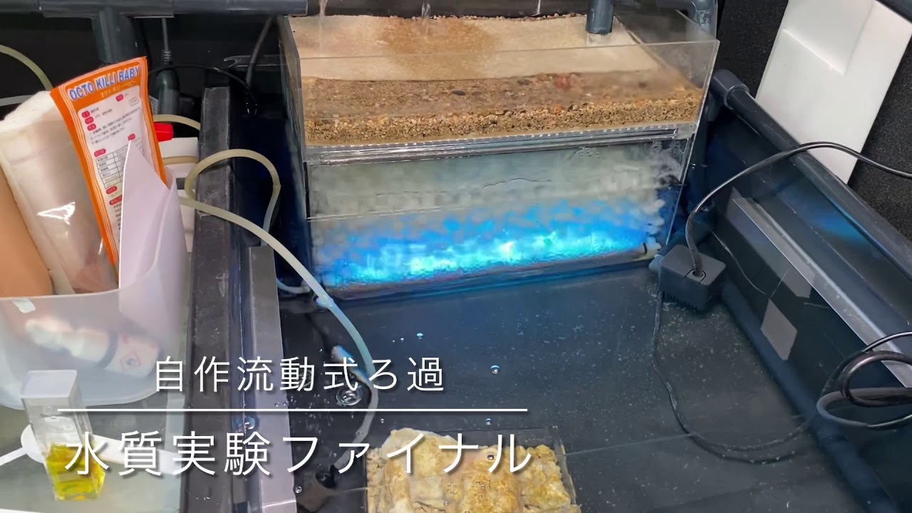 自作流動式ろ過 水質実験一か月目 ハイドロカルチャーも少々 Youtube