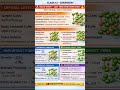 Solid State One Shot Revision 🔥 | Class 12 Chemistry | Last Minute Board Preparation 💯 #cbsenotes