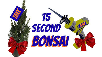 Christmas BONSAI in 15 SECONDS !!