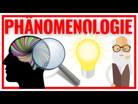 Video: Phänomenologische Methode in der Philosophie: Begriff, Wesen der Methode