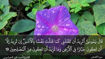 سورة القصص كاملة مكتوبة و مسموعة بصوت القارئ أحمد فايز الحراسيس