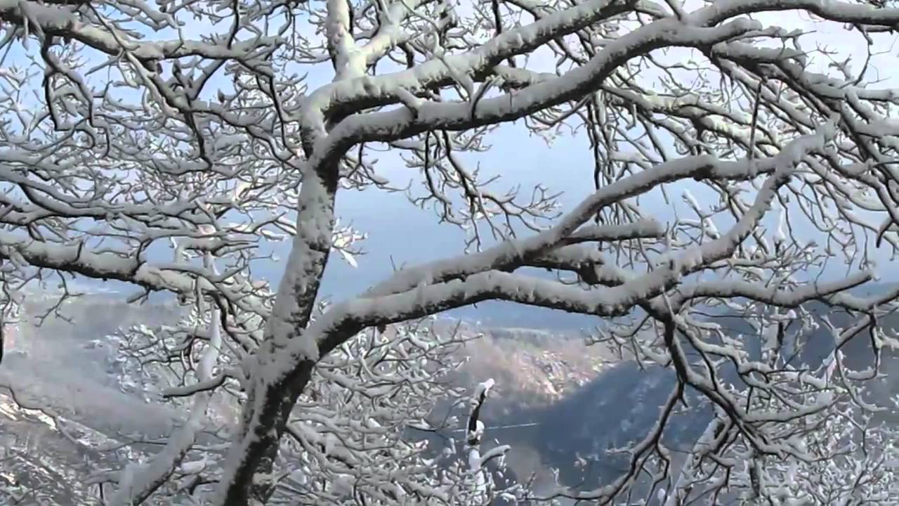 Winterimpressionen  an der Cloef