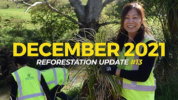December 2021 | Reforestation Updates | One Tree Planted