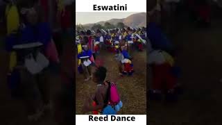 Eswatini Reed Dance - Reed Dance Eswatini Reed Dance - Reed Dance