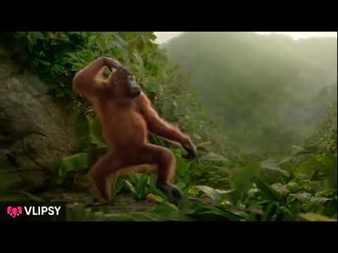 |Gorilla dance I like a moves moves|#shorts #cartoonmemes #memes #ytshorts #cartoon #gorilla #yoga
