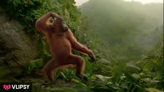 Gorilla Dance I Like A Moves Moves