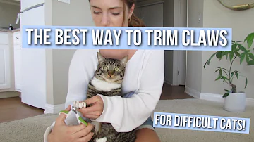 How to Trim Your Cat's Claws at Home (Easy and Fast!)