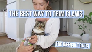 How to Trim Your Cat's Claws at Home (Easy and Fast!)