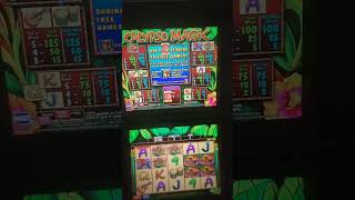 IGT Calipso Magic Video Slot Machine Game Play. web site:  https://toplineslotmachines.com screenshot 5