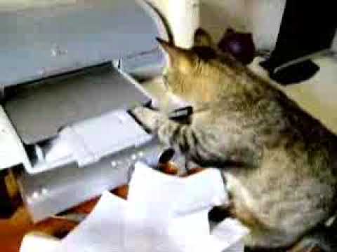 Printer Problem!