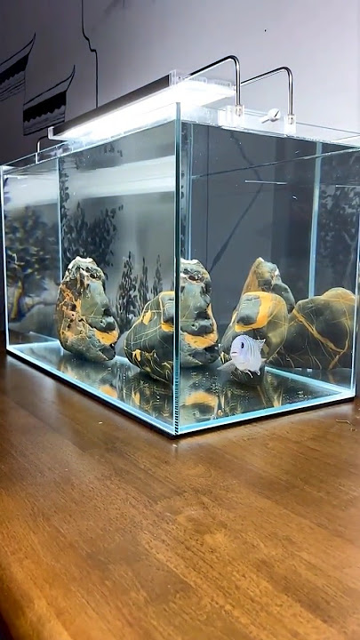 Super Awesome Aquarium Filters #fishaquarium #fish #fishtanksetup #trending #aquariumfishtank #viral