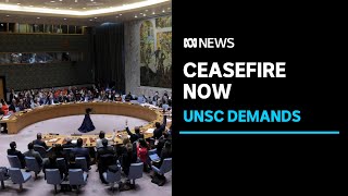 Details UN Security Council demands immediate ceasefire in Gaza after US abstains  from vote | ABC News Update
