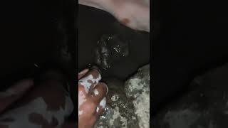 bap re bap night me itna bada bam machli #munirfishing #carpfishing #fishinglife #bamfishing #fish