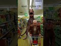 I Didn’t Expect This in the Supermarket.#supermarket #creature #shorts #funnyhorror #viralshorts