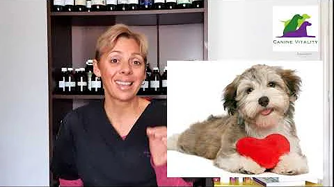 Could these 'lion- hearted' herbs help your dog?