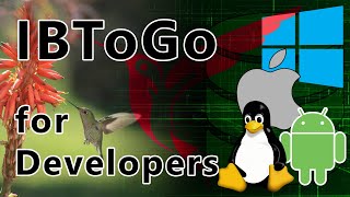 InterBase ToGo for Developers screenshot 4