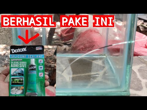 VIDEO REQUEST DARI VIEWER, REVIEW LEM DIGUNAKAN UNTUK MEMBUAT AQUARIUM.. 