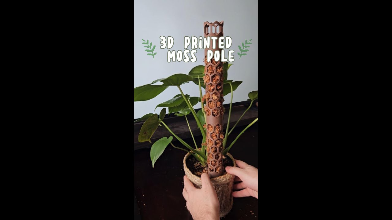 Building a Moss Pole for my Monstera