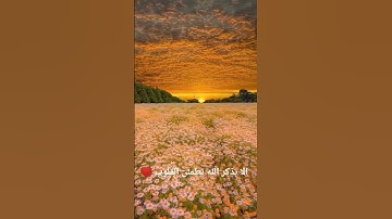 35 ثانية راحة نفسية هدية لك عزيزي القران الكريم #المصحف #quran #اكسبلور #تلاوة #القرآن_الكريم سورة