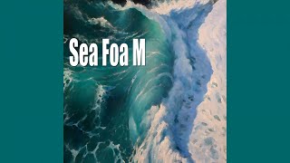 Sea Foam - Admiral