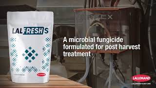 LALFRESH S: Instructions for use - YouTube