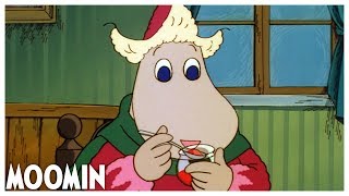 Visitors In Winter Ep 23 I Moomin 90S
