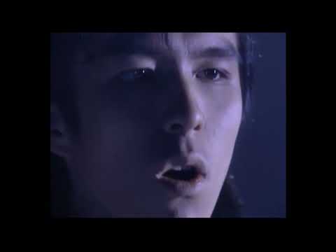 WANDS 「寂しさは秋の色」MV