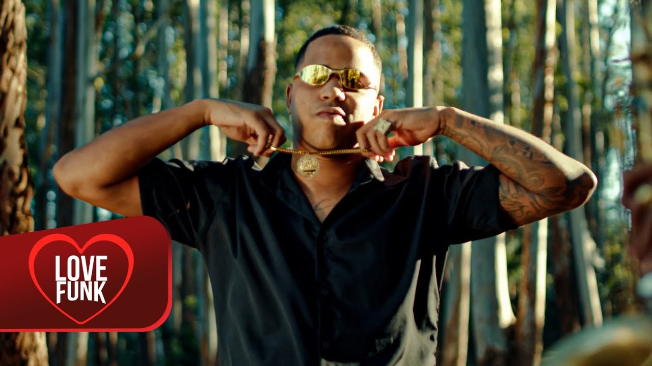 PERSEVERANÇA NA LUTA - MC Lemos e DJ GameBeat (Love Funk)