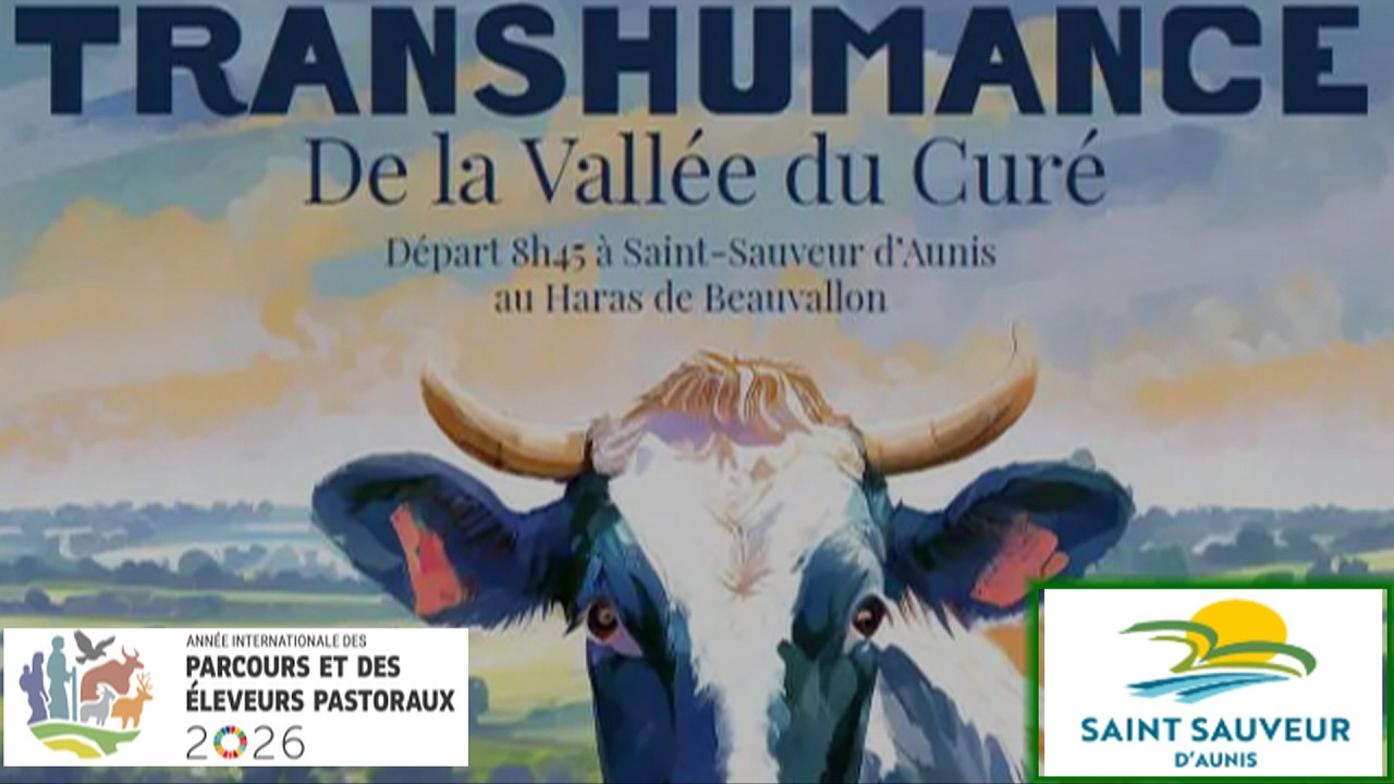Transhumance de la Vallée du Curé départ