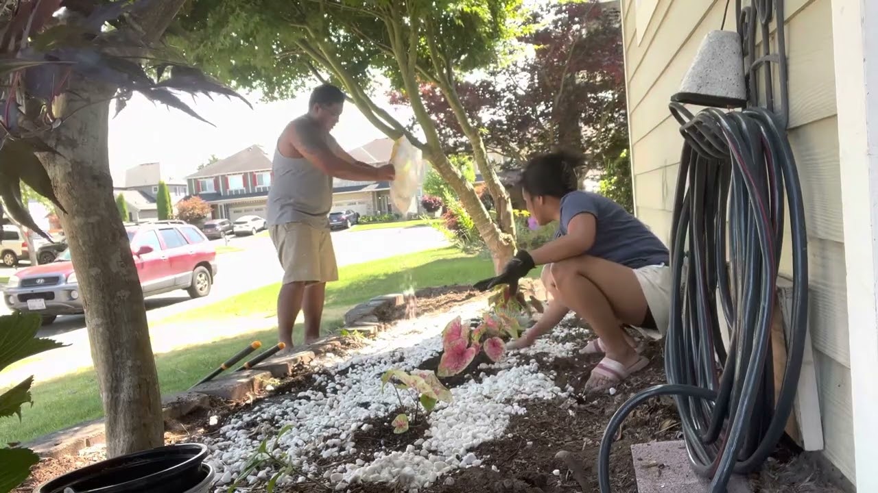 A simple front yard landscaping idea