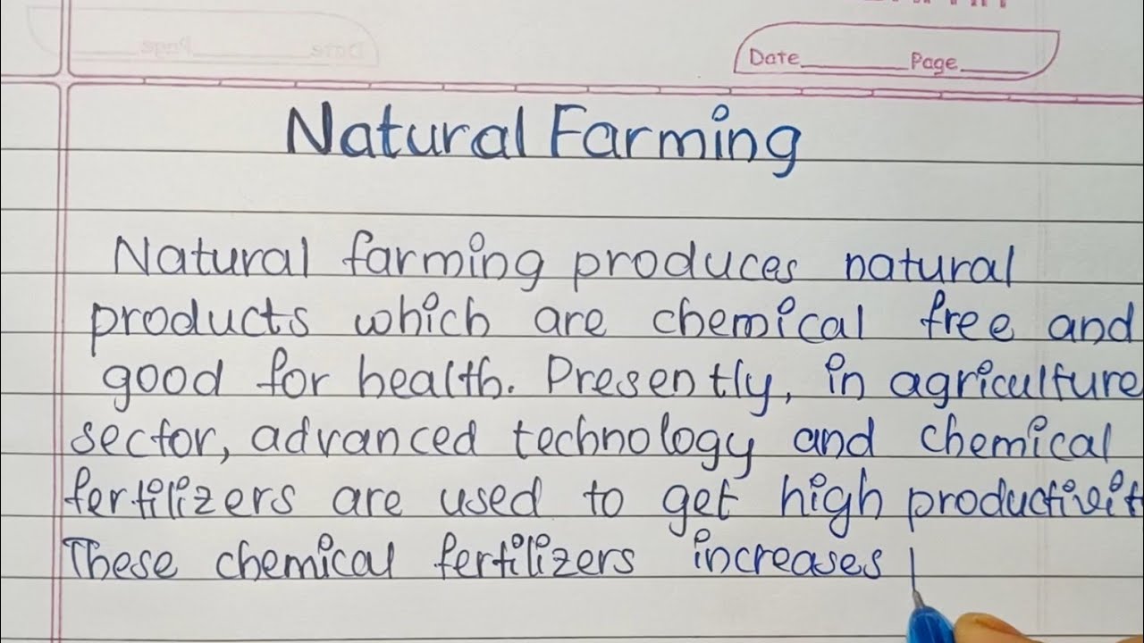 farming as a business essay