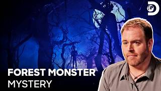 Tracking A 300-Year-Old Monster | Expedition X S2 E5 | Discovery Channel India
