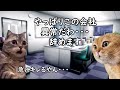 辞めたほうがいいヤバい会社の特徴【猫ミーム】