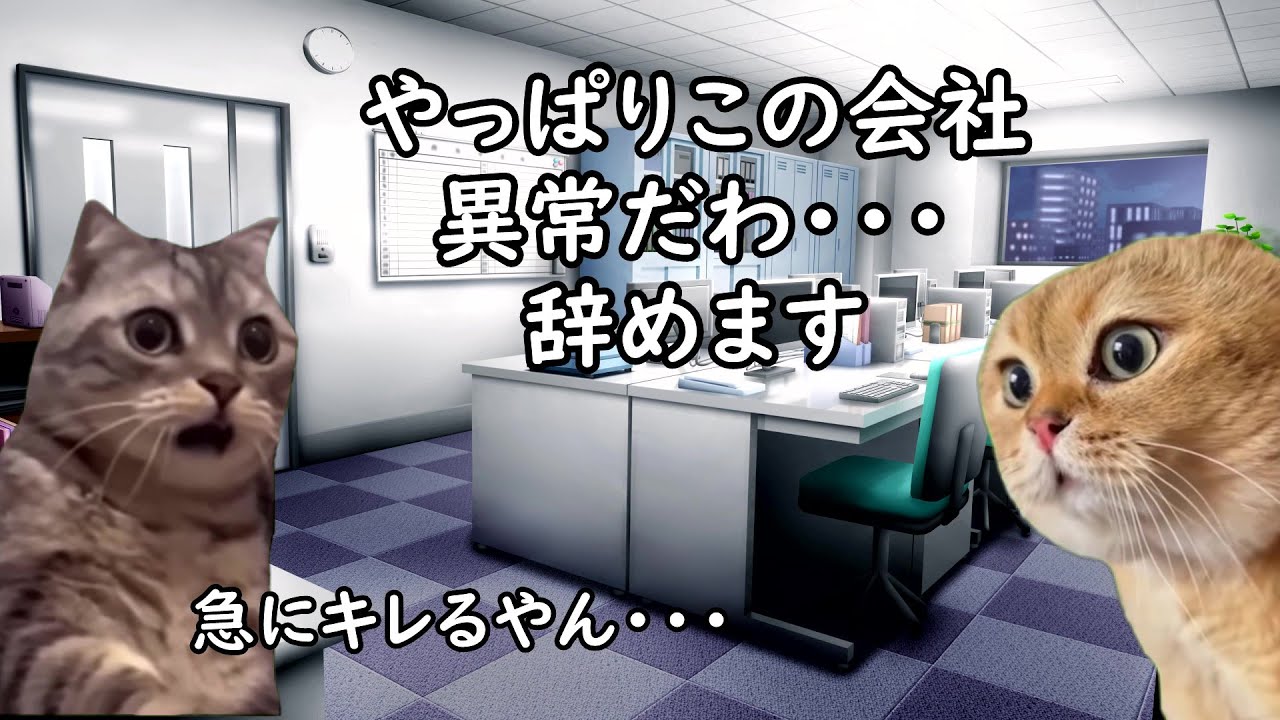 辞めたほうがいいヤバい会社の特徴【猫ミーム】