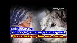 Geceleyin dağdayız. Üstad, git dereden su doldur dedi. Ben gitmem dedim. Molla Hamid anlatıyor.