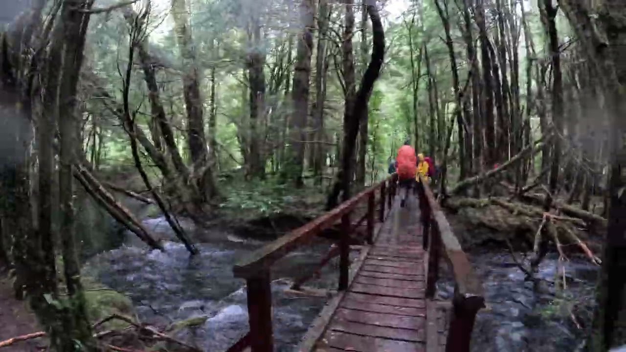 Trekking parque Tagua Tagua, Chile.