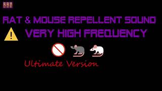 ⚠️(Ultimate Version) 🚫🐀🐁 Rat & Mouse Repellent Sound Very High Frequency (1 Hour) by BILLABONG Vids II 104,377 views 5 years ago 1 hour