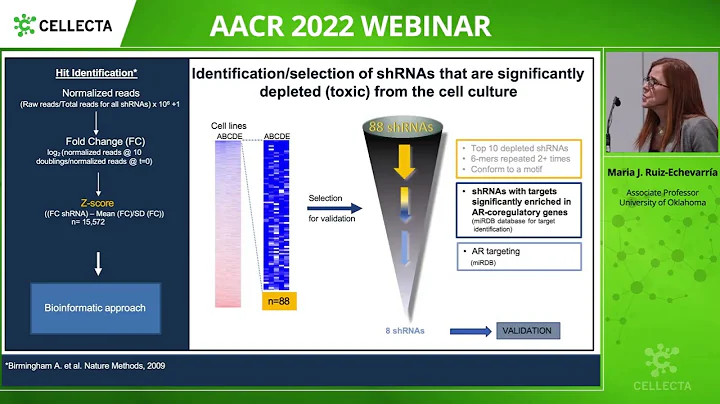 Development of a multitarget therapy for prostate ...