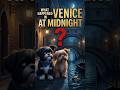 Hachi & Shiko | What Happen in Venice at Midnight Ep.7 #ShikoHachiAdventure