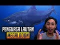 Pake megalodon raksasa penguasa lautan  feed and grow fish indonesia 10