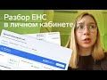 Разбор ЕНС в личном кабинете ИП