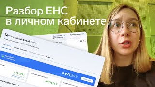 Разбор ЕНС в личном кабинете ИП