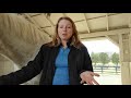 How to help your horse shed his winter coat How to help your horse shed his winter coat