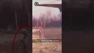 ALIENS On Earth?😳 People Are Freaking Out! #alien #trending #shorts