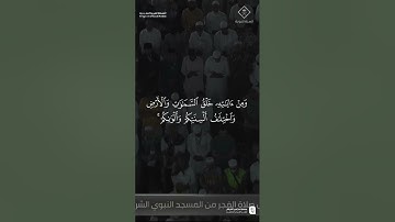 تلاوة خاشعة من سورة الروم | الشيخ محمد برهجي | صلاة الفجر ٦ محرم ١٤٤٧