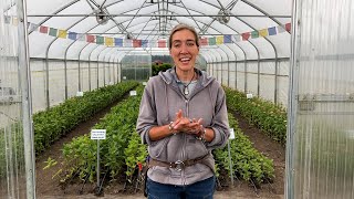 Famous Floret Farm Tour: Breeding Program Update Wealth